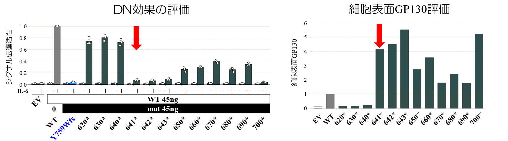 研究成果】免疫の異常を引き起こす新しい遺伝子変異を発見 〜患者DNAや
